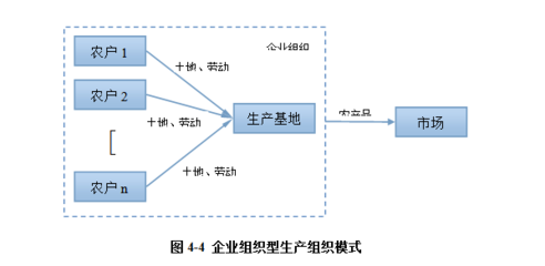 山東理工大學周濤 構建高效一體化組織體系，保障我國城市蔬菜供應鏈安全
