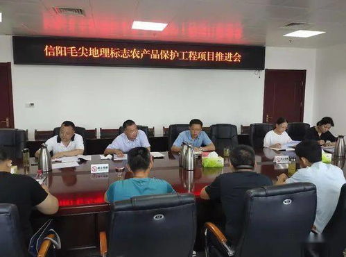 河南信陽召開毛尖地理標志保護推進會，筑牢產業發展根基